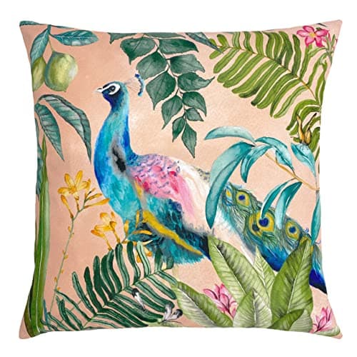 Image of Evans Lichfield Peacock Outdoor Polyester Filled Cushion, Polyester, Blush, 43 x 43cm (PEACOCK/HF2/BLS)