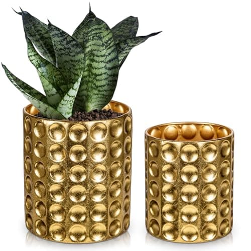 Image of Hollyone Set of 2 Iron Plant Pots, 13CM 15CM Gold Metal Planter with Drainage Hole and Plug, Decorative Indoor Pots Concave Dot Flower Pots, Modern House Plant Pots for Succulent, Cactus, Herb, Orchid