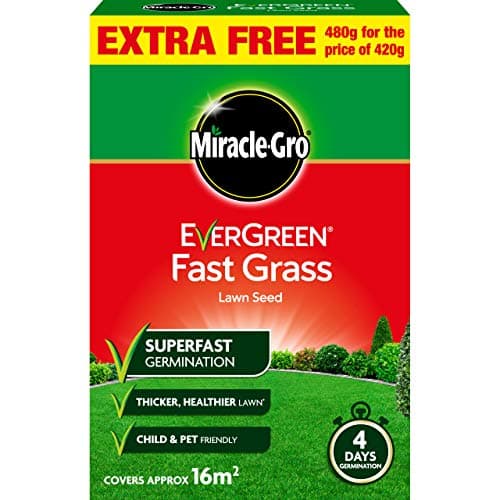 Image of Miracle-Gro EverGreen Fast Grass Lawn Seed 480g