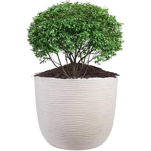 Image of STORM TRADING GROUP Extra Large Stone Effect Amalfi Round Flower & Tree Planter (XL) Ideal For Home, Balconies, Gardens, Greenhouses & Patios 60cm Wide x 56cm Height (1)