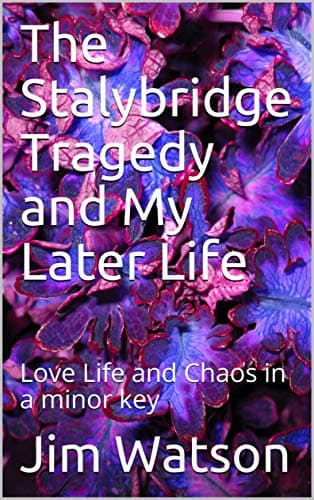 Image of The Stalybridge Tragedy and My Later Life: Love Life and Chaos in a minor key