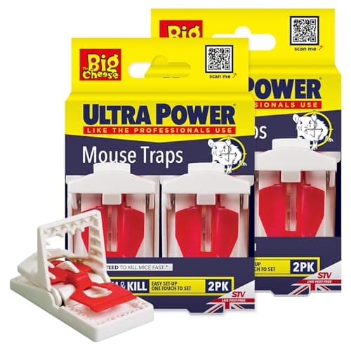 Image of The Big Cheese Ultra Power Ready-Baited Mouse Trap - Multi Pack - Reusable Mouse Traps For Indoor & Outdoor Use - Humane Mouse-Trap - Easy to Clean Plastic Mice Trap - Prebaited Rodent Trap