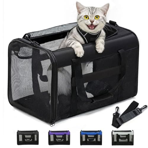 Image of Conlun Cat Carrier Bag,Soft-Sided Pet Carriers for Dogs with 4-Sided Mesh,Airline Approved Cat Transport Carrier for Small&Medium Cats Kitten Puppy Up to 6Kg,Collapsible Cat Travel Carrier-M,Black