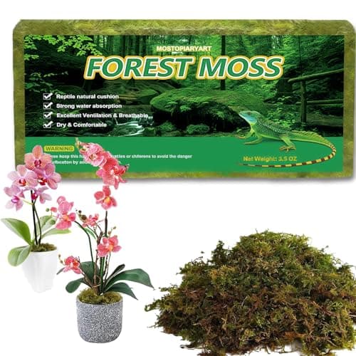 Image of Sphagnum Moss for Plants 5L Terrarium Reptiles Moss Green Dried Peat Moss Habitat Bedding Moss Real Moss Soil Cover for Houseplant and Other Reptiles Substrate