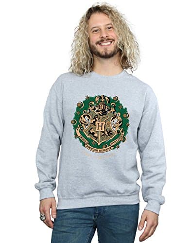 Image of Harry Potter Men's Gryffindor Seeker Sweatshirt Small Sport Grey
