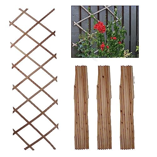 Image of DIVCHI Wooden Trellis Expandable Garden Wall Trellis For Climbing Plants Decoration & Plants Partitioning (Pack Of 3) (180cm x 60cm) (Natural Wood)
