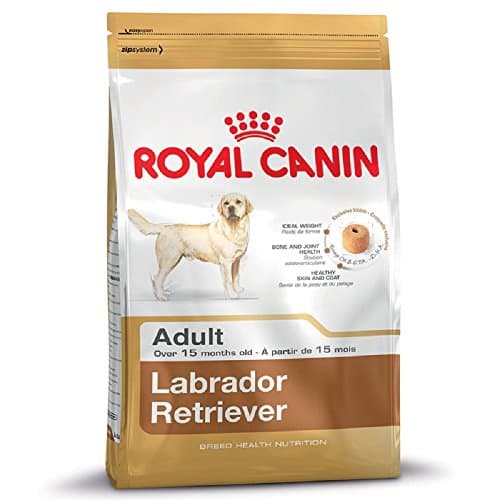 Image of ROYAL CANIN Labrador Retriever Adult Dry Dog Food For 15 Months or Older - Bundle Pack - 2 X 12 kg
