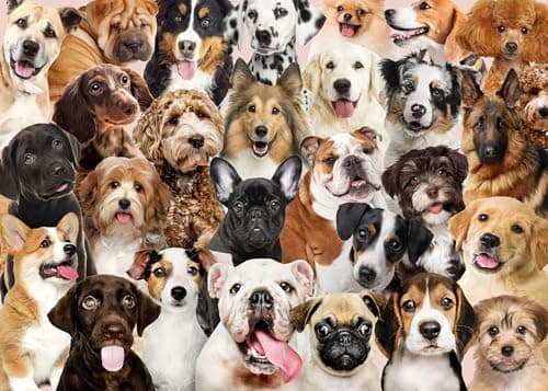 Image of Jigsaw Puzzles for Adults 1000 Piece Lovely Dogs 27.56 x 19.69 Inch Puzzles for Adults Educational Challenge 1000 Pieces Dog Puzzles for Adult
