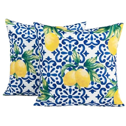 Image of OHS Outdoor Cushions Waterproof Decorative Lemon Print Cushion Covers 45 x 45 Set of 2 Super Soft Patio Garden Cushions Home Decor Throw Pillow Covers with Invisible Zipper, Blue