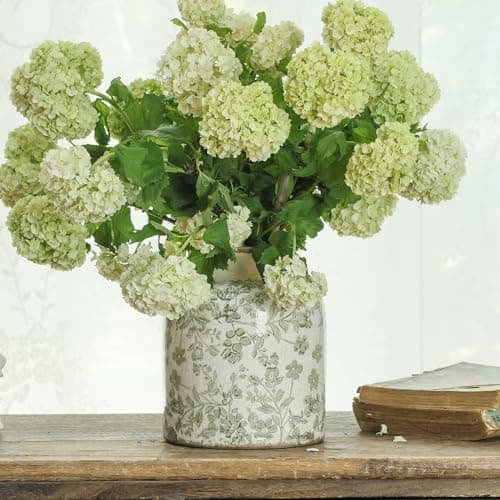 Image of Basitys Floral Chinoiserie Ceramic Vase, 15.7 cm Ice Cracked Hand-Painted Pastel Green Botanical Design, Vintage Style Home Decor