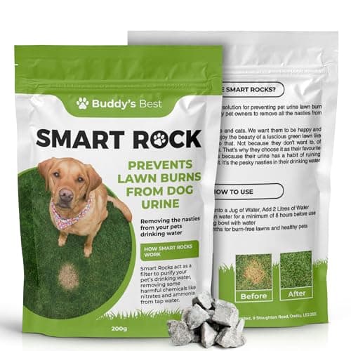 Image of Buddy's Best 200g Smart Rocks: Natural Pet Water Enhancer & Lawn Saver, Mineral-Based Solution for Dogs, Reduces Nitrates & Ammonia, Supports Hydration & Healthy Green Grass