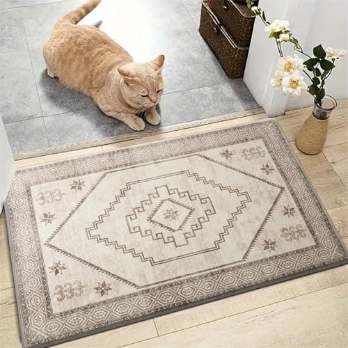 Image of AMEHA Door Mats Outdoor Indoor 40 x 60 cm, Heavy Duty Door Matts Indoor, High Absorbent Non Slip Floor Mat Welcome Entrance Doormats Machine Washable Low Profile Doormat (Radiant)