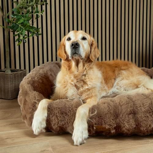 Image of Scruffs Luxury Alpine Box Bed For Dogs (XL)