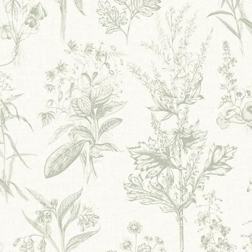 Image of Superfresco Easy Herbarium Sage Wallpaper | Paste the Wall | Green Floral | Eco-Friendly