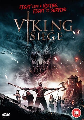 Image of Viking Siege