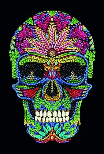 Image of Skull, Crystal Art Notebook