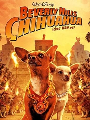 Image of Beverly Hills Chihuahua