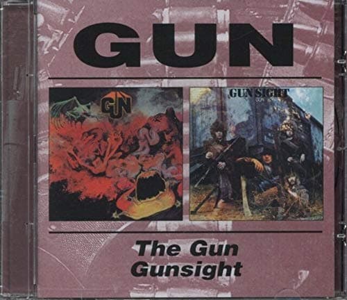 Image of Gun / Gunsight