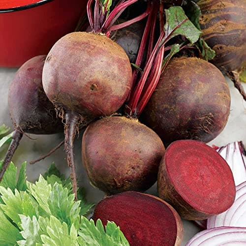 Image of Beetroot Boltardy Seeds – Great Flavour, Fresh and Tasty – RHS Award of Garden Merit – for Your Kitchen Garden