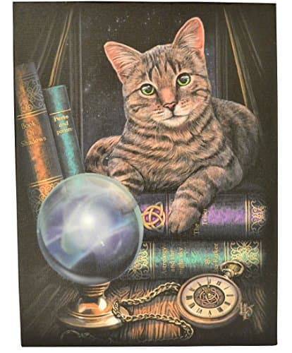 Image of Magical Gift Store Canvas Plaque | Fortune Teller by Anne Stokes | 1 Piece | Multicoloured | 19 cm x 25 cm