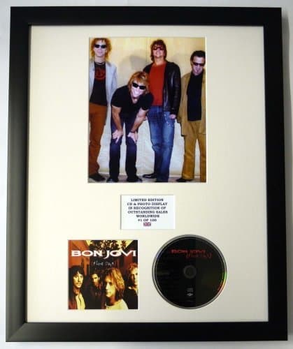 Image of BON JOVI/PHOTO & CD DISPLAY LTD. EDITION OF THE ALBUM THESE DAYS