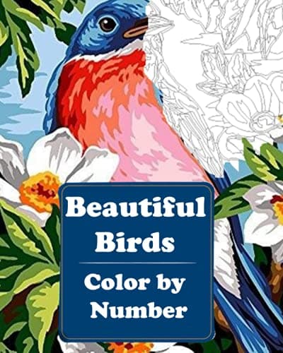 Image of Beautiful Birds Color by Number: Coloring Book for Adults Relaxation & Mindfulness, Perfect Gift Idea for Nature Lovers