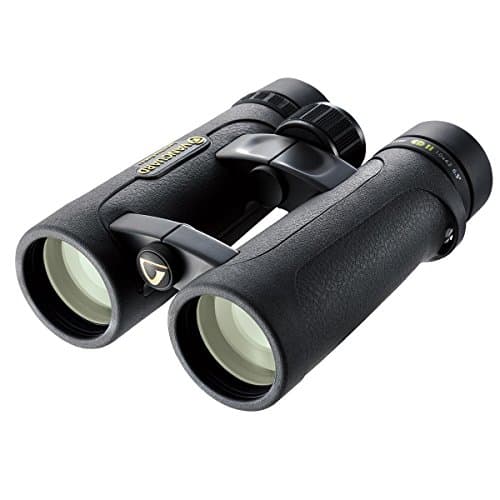 Image of Vanguard Endeavor ED II 10x42 Waterproof Binoculars with HOYA ED Glass