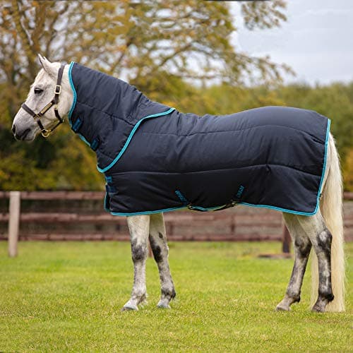 Image of Horseware Amigo Pony Insulator Plus Medium Stable Rug 4ft6 Navy/Electric Blue & Navy