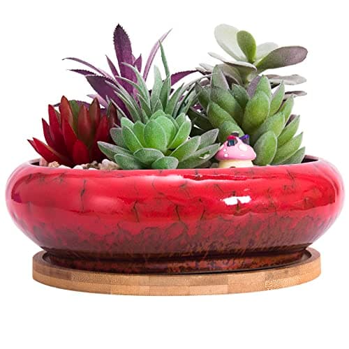 Image of Succulent Plant Pot, 18.5CM Large Bonsai Pot with Tray Ceramic Succulent Pot with Drainage Hole Shallow Cactus Flower Pots for Indoor/Outdoor Plants Glazed Planter Bowl, Red