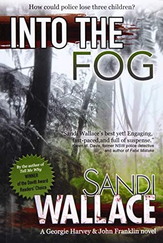 Image of Into The Fog: 3 (Rural Crime Series)