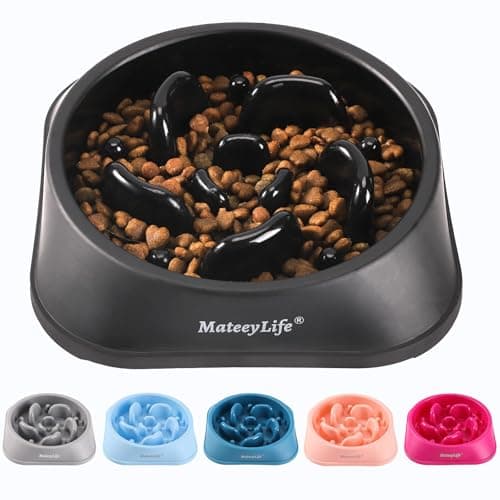 Image of MateeyLife Basic Dog Bowls, Anti-Choking Puzzle Interactive Slow Feeder Dog Bowl to Slow Down Eating for Small and Medium Dogs, Black 2 Cups(7.8 In)