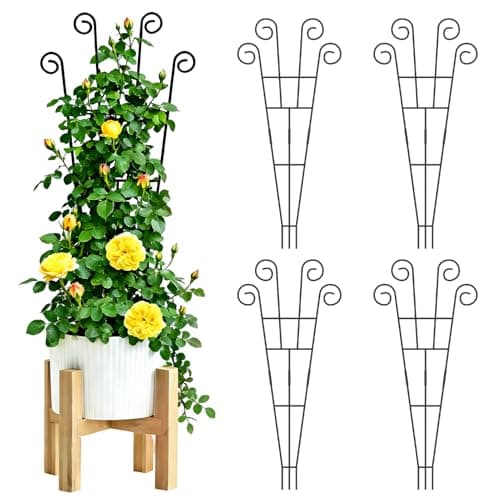 Image of WELDUN 4 Pack Plant Trellis 75CM for Climbing Plants Potted Plants Indoor Outdoor, Metal Garden Trellis Support Stake for Vegetables, Roses & Vines