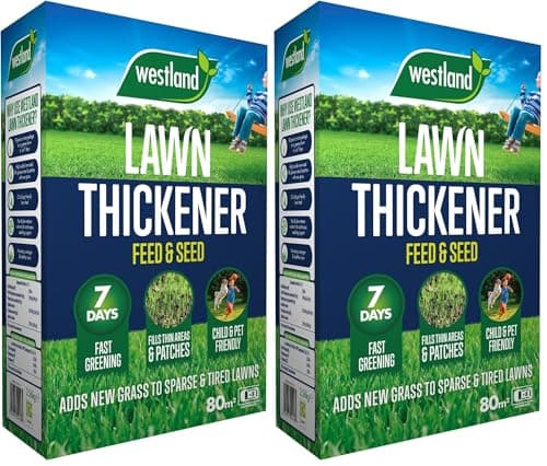 Image of Westland Lawn Thickener 80m2 Box (Pack of 2)