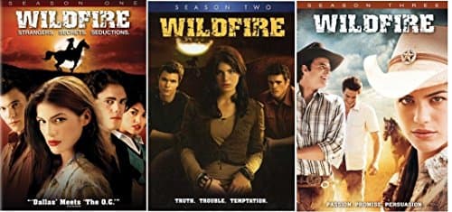 Image of Wildfire Complete Seasons 1-3