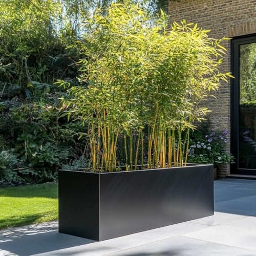 Image of Tulipy 1.2m/1m/75cm/70cm Zinc Galvanised Trough Planter | No Assembly Needed | Lightweight (Matte Black, L100cm x W40cm x H40cm)