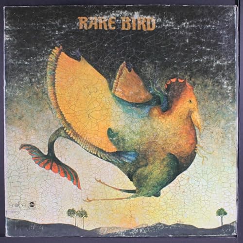 Image of Rare Bird Vinyl LP Record Album