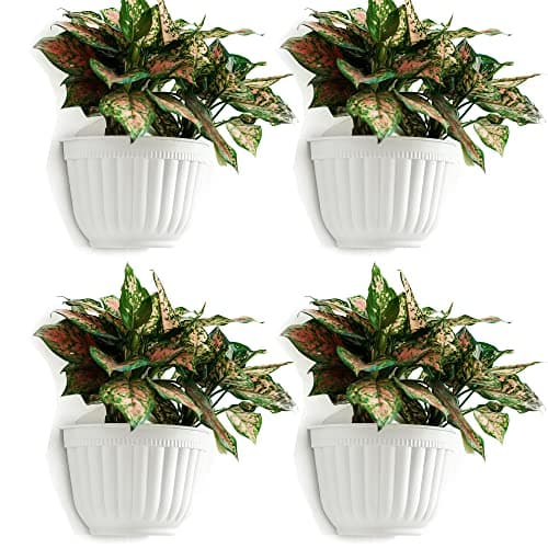 Image of 4 Pack Plastic Wall Plant Pots Vertical Garden Living Wall Mounted Window Hanging Basket Fence Planters Indoor Outdoor for Plants Flowers Kitchen Herbs Holder with Drainage Water Reservoir Decor White