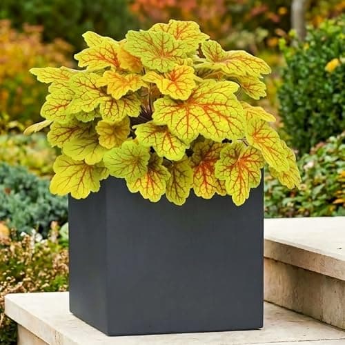 Image of IDEALIST 25cm Planter | Dark Grey Reinforced Stone Square Garden Planter | Flower Pot with Drainage Holes L25 W25 H25 cm, 16 litres