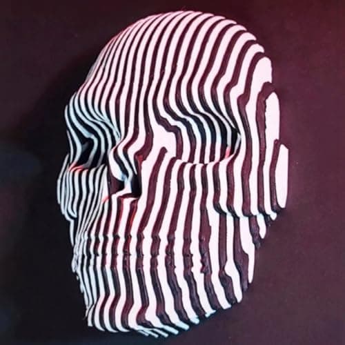 Image of 3D Printed Luminous Quantum Skull, Flexible Quantum Puzzle for Stress Relief, Halloween Skull Toys and Gifts, Office Home Decoration Ornaments (Black White)