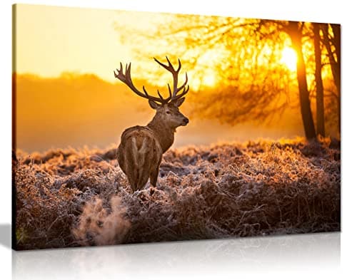 Image of Panther Print, Canvas Wall Art Framed Hunting Pictures Artwork for Home Decoration Red Deer in the Morning Sun Canvas Prints for Special Occasions (36"x24")