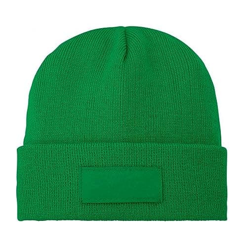 Image of Bullet Boreas Beanie with Patch (One Size) (Fern Green)