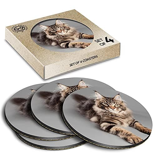 Image of 4 x Eco Boxed Cork Coasters - Cute Maine Coon Cat Drink Cup Mug Glass Table Mat #15678