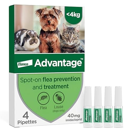 Image of Advantage Spot On Flea Treatment For Cats, Dogs and Rabbits Under 4kg (4 pipettes, 40mg), Kills Fleas Within 24 Hours, Prevents Further Infestation For Up To Four Weeks in Cats and Dogs
