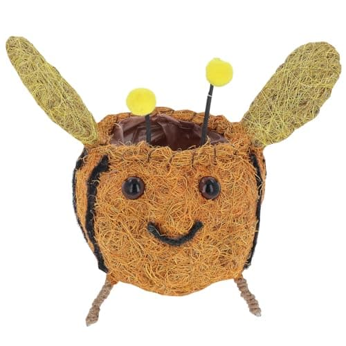 Image of Shudehill Giftware Cute Coir Planters Wildlife Collection - Bees, Robins, Hedgehog, Chicken, Owl and More in Two Sizes (Bee, Large)