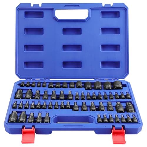 Image of WORKPRO 60-Piece Master Torx Bit Socket Set, 1/4", 3/8", 1/2" Drive Bits, E4-E24, T6-T70, TT6-TT70, TP8-TP60, with Enhanced Storage Case