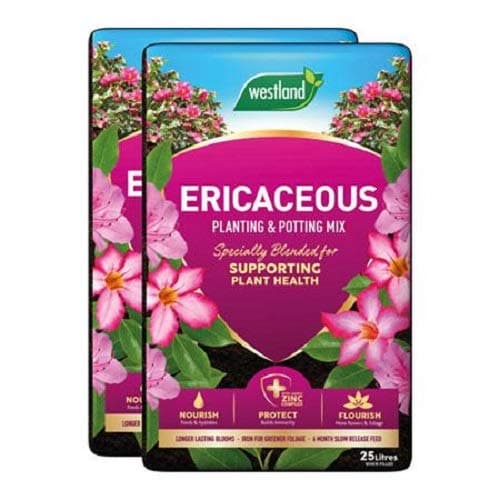 Image of Westland Ericaceous Planting & Compost Potting Mix 25 Litre