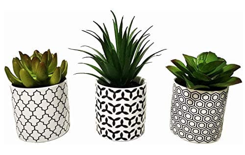 Image of Pretty Home Potted Artificial Succulent Plants, Set of 3, Tile Pattern Porcelain Pots (small pot)
