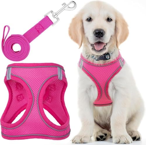 Image of Dog Harness with Leash for Running, Hiking & Training - Small, Pink - Soft Padded & No Pull Design Pet Harness with Leash Clips + Reflective Strips for Small Dogs - by EcoEarth