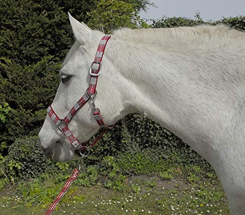 Image of Rhinegold Unisex's Carnival Headcollar & Rope, Red Check, Extra Full