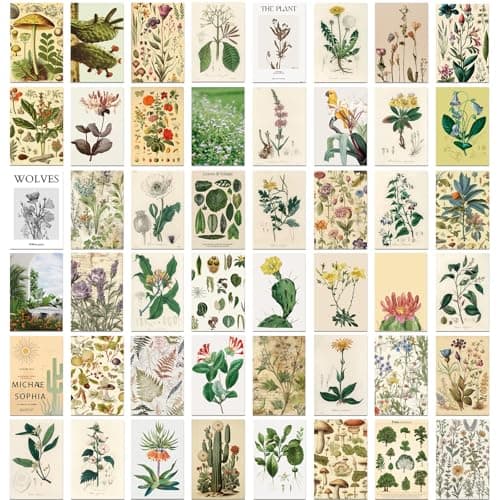Image of 50 Pcs Botanical Postcards - Floral Landscape Art Cards for Wall Decor, Scrapbooking, Greetings, Invitations & Home Decoration Vintage Fresh Style